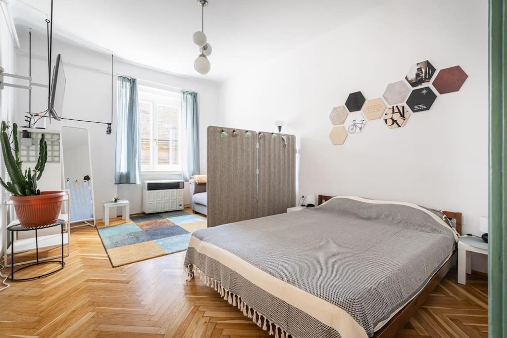 Apartament Classy Couture *